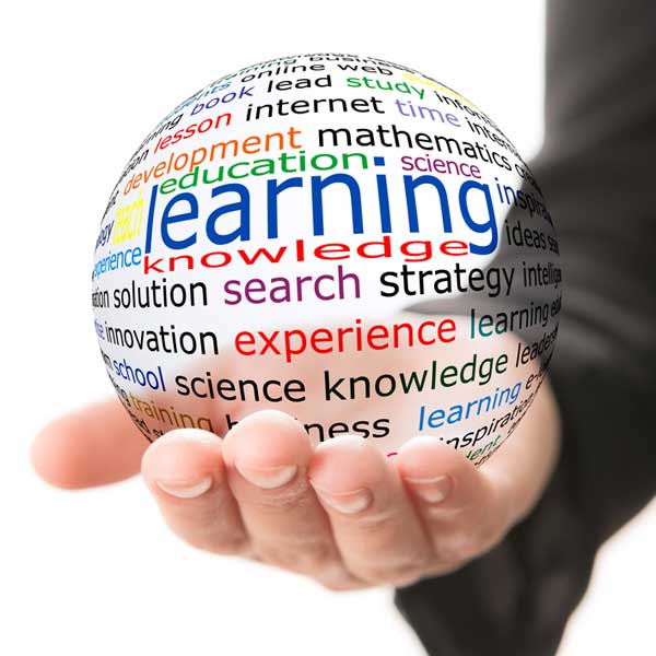 What is Emotional Intelligence?